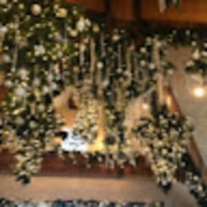 Meet your Posher, Mackenzie